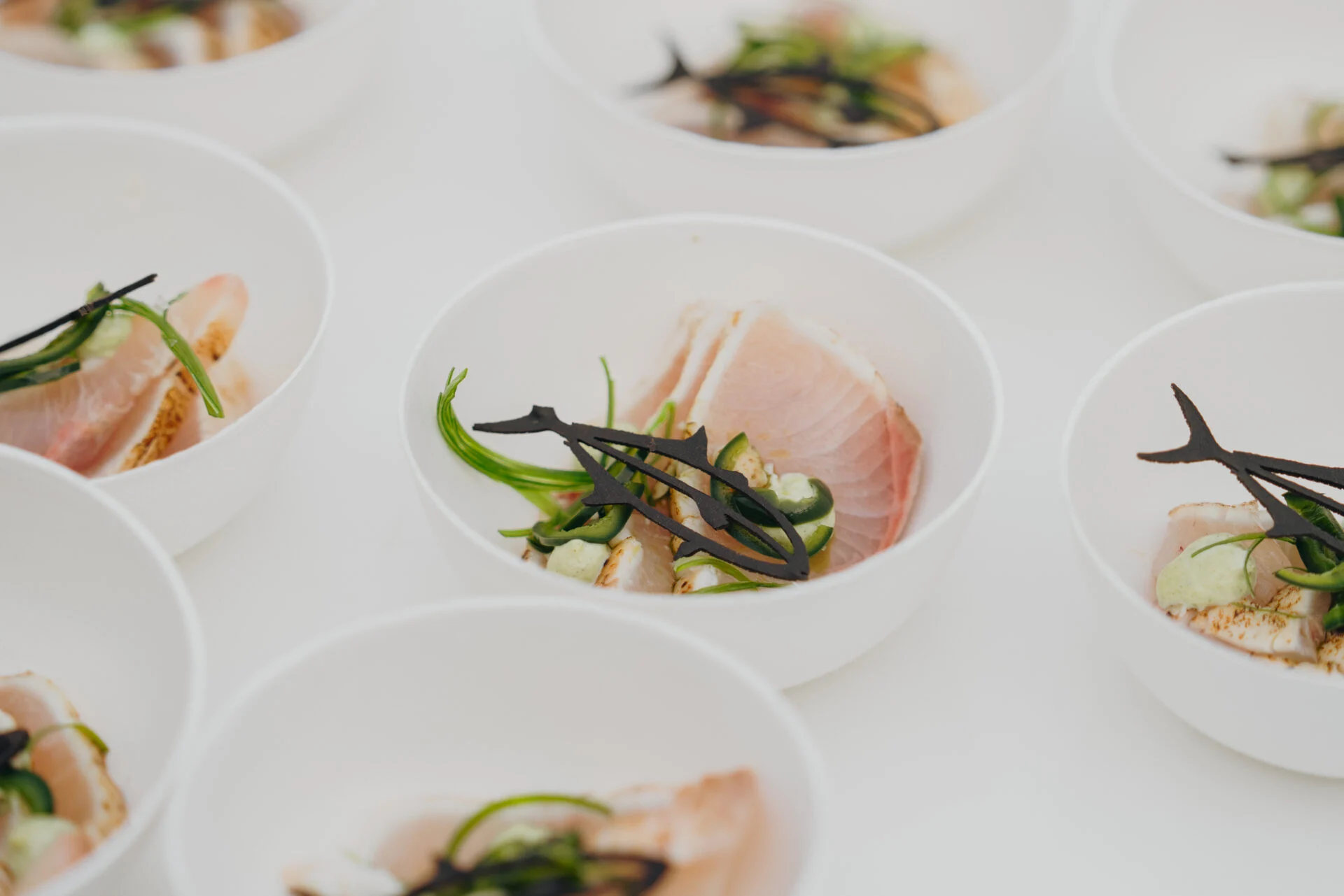 Yerseke mosselen, oesters en kreeft proeverijen