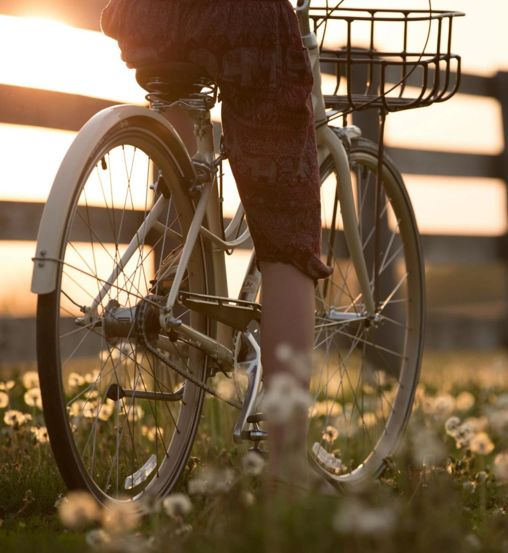 37e Zeeuwse Fietsvierdaagse