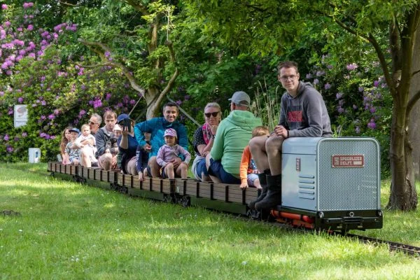Stoompluimen in de Pluimweide: Voorjaarseditie