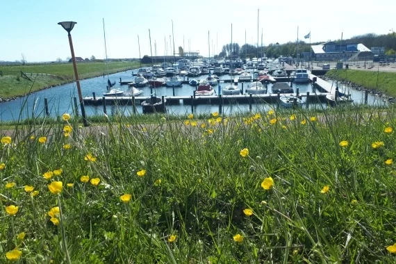Kamperlandse Dagen