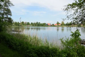 Stelleplas